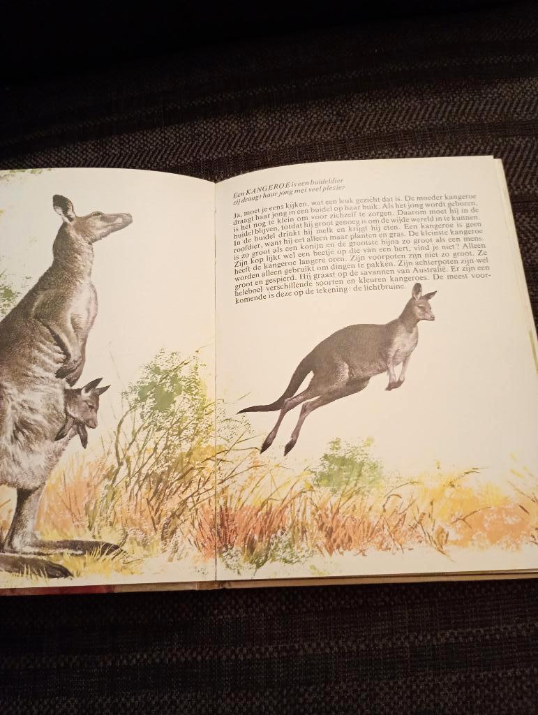 Groot dierenboek, Ophalen of Verzenden, Gelezen, Fictie algemeen