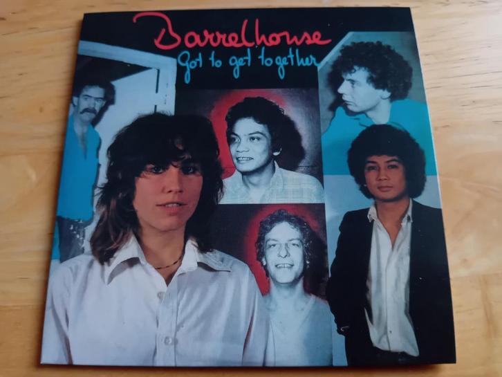 CD Barrelhouse - Got To Get Together, Cd's en Dvd's, Cd's | Jazz en Blues, Zo goed als nieuw, Blues, 1980 tot heden, Verzenden