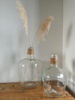 Vazen glas / gistingsfles, Huis en Inrichting, Minder dan 50 cm, Glas, Ophalen of Verzenden, Zo goed als nieuw