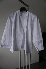 Nieuw! Greiff dames koksbuis koksjas | maat 42, Wit, Overige typen, Onbekend, Ophalen of Verzenden