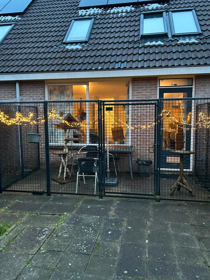 Kattenrenpanelen inclusief deur, Dieren en Toebehoren, Overige Dieren-accessoires, Gebruikt, Ophalen