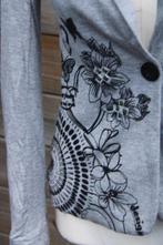 Jasje grijs Desigual mt 36 Vaste prijs, Ophalen of Verzenden, Zo goed als nieuw, Jasje, Grijs