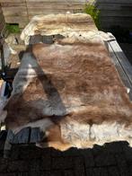 Rendierhuiden groot en klein, Huis en Inrichting, Stoffering | Tapijten en Kleden, Ophalen, 50 tot 100 cm, Zo goed als nieuw, 150 tot 200 cm