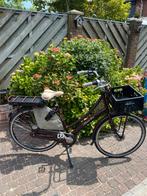 Sparta country tour, Fietsen en Brommers, Ophalen, Sparta, Zo goed als nieuw, 55 tot 59 cm