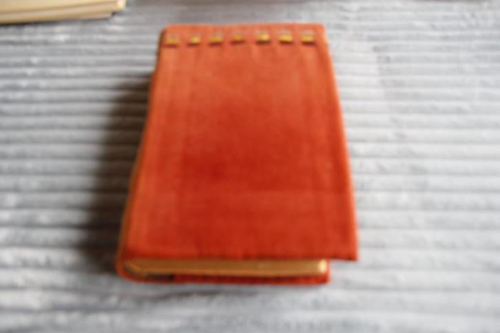 Statenbijbel met hoes 1921, Antiek en Kunst, Antiek | Boeken en Bijbels, Ophalen of Verzenden