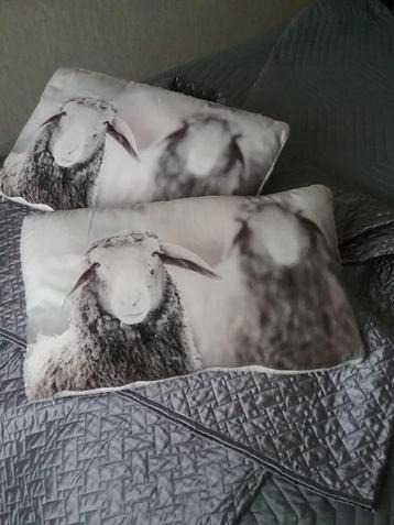 SATIJN SPREI...+ 2 SCHAPEN KUSSENTJES beschikbaar voor biedingen