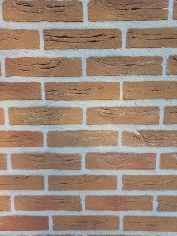 Metselstenen licht afmeting 10 cm x 20 cm, aantal 47 stenen beschikbaar voor biedingen