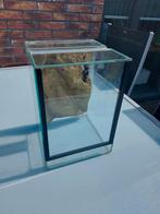 Terrarium 25x25x35, Dieren en Toebehoren, Insecten en Spinnen