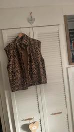 Panter gilet L, Overige kleuren, Spirit, Maat 42/44 (L), Ophalen of Verzenden