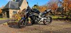 Kawasaki ER6N uit 2013 met een unieke kleur., Motoren, Motoren | Kawasaki, 2 cilinders, Particulier, 650 cc, 12 t/m 35 kW