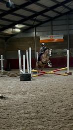 Fanatieke bijrijder/verzorgster aangeboden (Tiel of rondom), Ophalen of Verzenden, Zo goed als nieuw