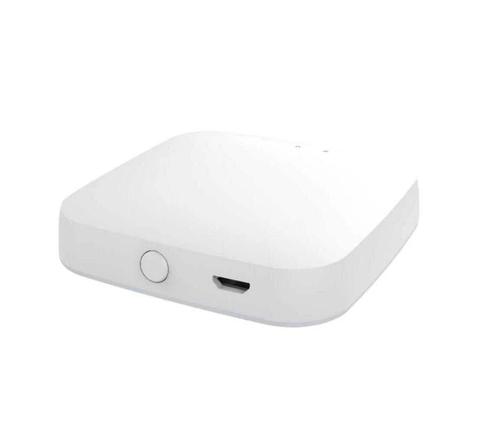 Smart Gateway ZigBee + Bluetooth Mesh, Hobby en Vrije tijd, Elektronica-componenten, Nieuw, Ophalen of Verzenden