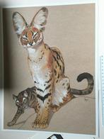 Illustratie / tekening Frank Pé: serval en huiskat - 40x30cm, Antiek en Kunst, Ophalen of Verzenden