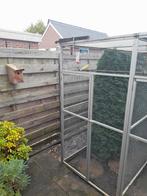 Waterslager, Dieren en Toebehoren, Vogels | Kanaries, Mannelijk