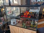Terrarium 40,5 cm (D) x 51 cm (B) x 73 cm (H), Dieren en Toebehoren, Reptielen en Amfibieën | Toebehoren, Ophalen, Zo goed als nieuw