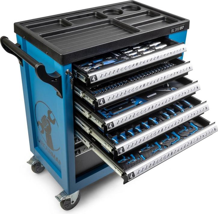 Nieuwe gereedschapswagen, inclusief gereedschap €585,- ex, Doe-het-zelf en Verbouw, IJzerwaren en Bevestigingsmiddelen