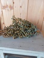 Decoratie Takken, Huis en Inrichting, Ophalen of Verzenden