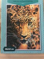 Daimond painting, Ophalen of Verzenden, Zo goed als nieuw, Knutselwerk