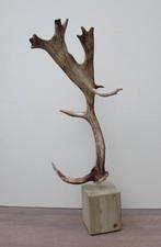 Groot DAMHERT GEWEI op houten sokkel  (ref. B)