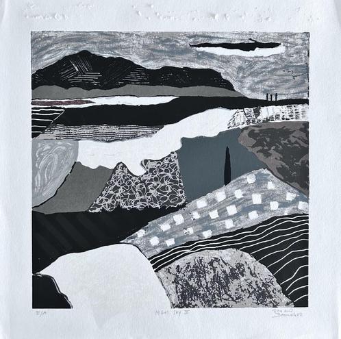 Zeefdruk Ronald Boonacker - Night Sky III, Antiek en Kunst, Kunst | Litho's en Zeefdrukken, Verzenden