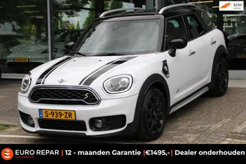 Mini Mini Countryman 2.0 Cooper S E ALL4 Chili AUTOMAAT beschikbaar voor biedingen