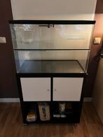 Compleet Gerbilarium met onderkast, Dieren en Toebehoren, Ophalen, Zo goed als nieuw