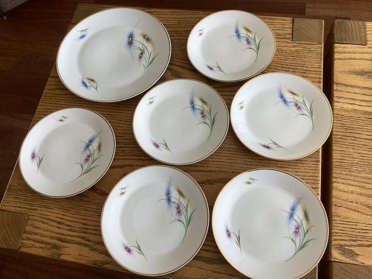 Vintage Schonwald porselein,bordjes1 groot,6 kleinere,korenb, Antiek en Kunst, Antiek | Servies los, Ophalen of Verzenden