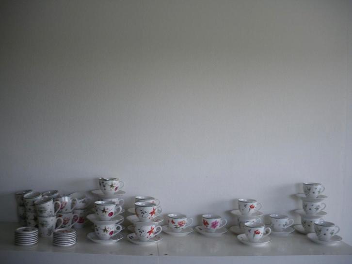 Janneke Brinkman maand servies, Huis en Inrichting, Keuken | Servies, Zo goed als nieuw, Bord(en), Wedgwood, Aardewerk, Ophalen of Verzenden