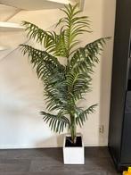 Grote kunstplant, Ophalen, Zo goed als nieuw, Binnen