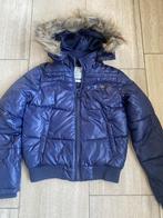 Winterjas blauw America Today, Kleding | Dames, Blauw, Maat 38/40 (M), Ophalen of Verzenden, America Today