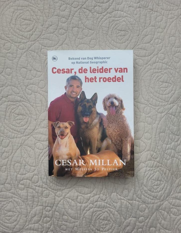 Cesar Millan - Cesar, de leider van het roedel, Boeken, Dieren en Huisdieren, Zo goed als nieuw, Honden, Ophalen of Verzenden