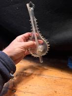 Zeldzaam antiek 18e eeuws donderglas - ongerestaureerd, Antiek en Kunst, Antiek | Glas en Kristal, Ophalen of Verzenden