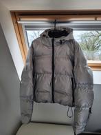 Zilveren ski-jas - Weinig gedragen, Ski-jas, Maat 42/44 (L), Ophalen of Verzenden, Jack