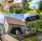 😻 Cohousing vegan bed and breakfast Limburg België b and b, Contacten en Berichten, Huisgenoten gezocht