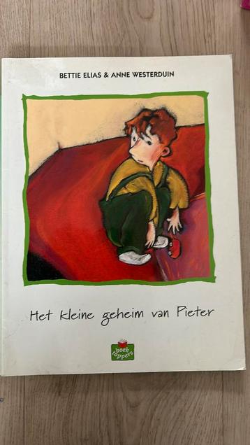 Het kleine geheim van Pieter Bettie Elias en Anne Westerduin