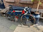 Nette Dasia carbon 48 cm triple racefiets, Fietsen en Brommers, Fietsen | Racefietsen, Gebruikt, Carbon, Minder dan 49 cm, Meer dan 20 versnellingen