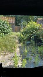 Tuinhulp regio Nijmegen, Ophalen, Nieuw