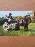 Ansichtkaarten uit de oude doos Nederland, Verzamelen, Ansichtkaarten | Nederland, Ophalen of Verzenden