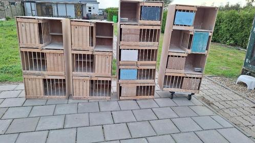 Te koop broedbakken, Dieren en Toebehoren, Vogels | Duiven, Postduif, Geslacht onbekend