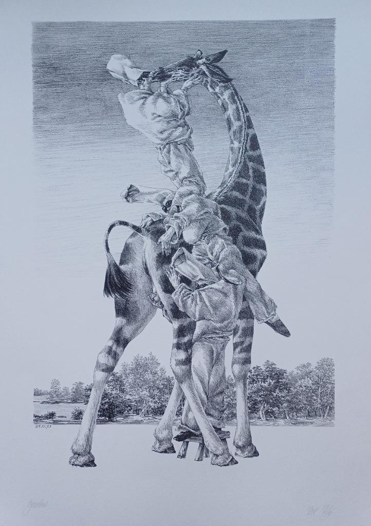 Peter Vos - Gevoelens -  gesigneerde litho, Antiek en Kunst, Kunst | Litho's en Zeefdrukken, Ophalen of Verzenden