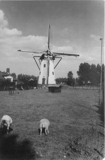 (386-281-043) Nieuwerkerk Molen beschikbaar voor biedingen