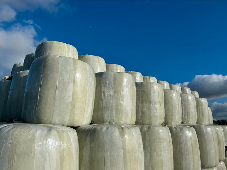 Midibalen Voor Paarden Met Garantie, Dieren en Toebehoren, Dierenvoeding, Vee, Ophalen