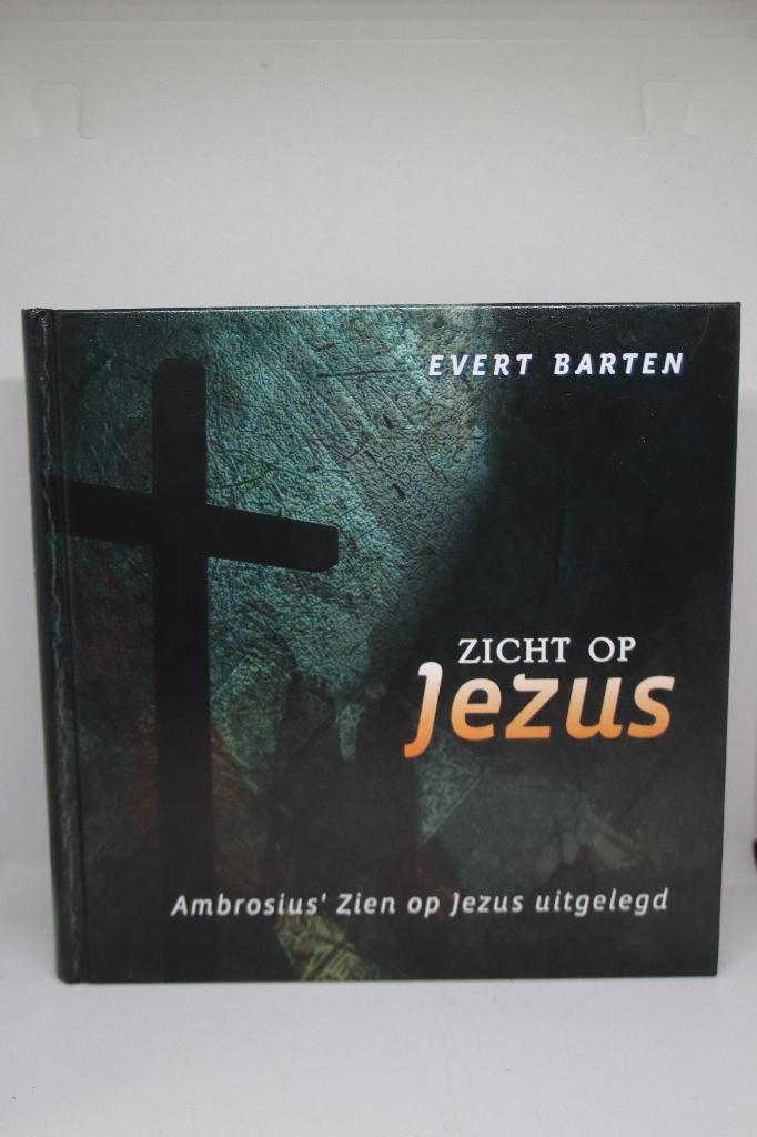 Zicht op Jezus - Evert Barten, Boeken, Godsdienst en Theologie, Zo goed als nieuw, Ophalen of Verzenden