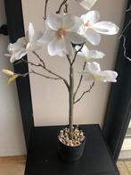 Nieuw prachtig kunst magnolia in pot, Huis en Inrichting, Ophalen of Verzenden, Nieuw