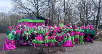 Loopgroep  carnaval beschikbaar voor biedingen
