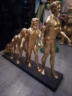 Het ontstaan van de mens, Ophalen of Verzenden, Nieuw, Mens