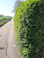 all kinds of gardening work, Ophalen of Verzenden, Minder dan 100 cm