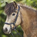 Nieuw Waldhausen anatomisch IJslander hoofdstel, Dieren en Toebehoren, Paarden en Pony's | Hoofdstellen en Tuigage, Ophalen of Verzenden