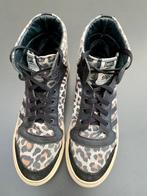 TE KOOP: leren meisjes sneakers van Piedro maat 41 ZGAN, PIEDRO, Meisje, Schoenen, Ophalen of Verzenden