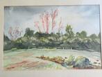 Aquarel Landschap met Bomen en Vee M.Hayton, Ophalen of Verzenden